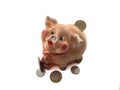 Piggy bank isolated on a white background. Piggy bank in the shape of a pig. Royalty Free Stock Photo