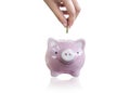 Piggy bank isolated white background.Saving money concept Royalty Free Stock Photo