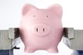 Piggy bank in jaws of vice Royalty Free Stock Photo