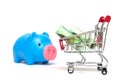 Piggy bank and korean money and shopping cart on white background : economy concept Royalty Free Stock Photo