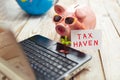 Piggy bank, laptop, globe,palm- tax haven concept