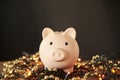 Piggy bank on a light Christmas string. Concepts: savings on holiday shopping Royalty Free Stock Photo
