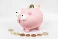 Piggy Bank with a Dropping Pound and Line of Coins Royalty Free Stock Photo
