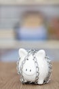 Piggy bank locked by an iron chain Royalty Free Stock Photo