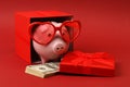 Piggy bank in love with red heart sunglasses standing in gift box with ribbon and with stack of money american hundred dollar bill