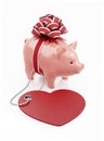 Piggy Bank Loving Savings