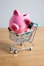 Piggy bank on a miniature shopping cart Royalty Free Stock Photo