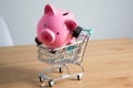 Piggy bank on a miniature shopping cart Royalty Free Stock Photo