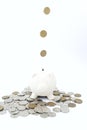 Piggy bank with money white background Royalty Free Stock Photo
