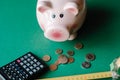 Piggy Bank with Money, Cute piggy bank on color background