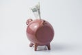 Piggy bank with money, czech crowns Royalty Free Stock Photo