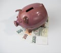 Piggy bank with money, czech crowns Royalty Free Stock Photo