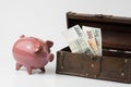 Piggy bank with money, czech crowns Royalty Free Stock Photo