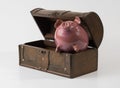 Piggy bank with money, czech crowns Royalty Free Stock Photo