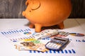 Piggy bank on money, euros bills, bussiness reports, pen and calculator