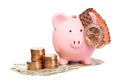 Piggy Bank with Money and Gold Watch isolated Royalty Free Stock Photo