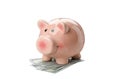 Piggy bank and money isolated on background Royalty Free Stock Photo