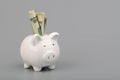 Piggy bank money savings concept with copy space