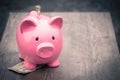 Piggy-bank /money savings / concept of growth Royalty Free Stock Photo