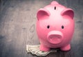 Piggy-bank /money savings / concept of growth Royalty Free Stock Photo