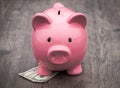 Piggy-bank /money savings / concept of growth Royalty Free Stock Photo