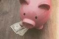 Piggy-bank /money savings / concept of growth Royalty Free Stock Photo