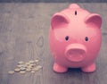 Piggy-bank /money savings / concept of growth Royalty Free Stock Photo