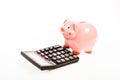 Piggy bank money savings. Piggy bank pig and calculator. Credit debt concept. Economics and profit management. Economics Royalty Free Stock Photo