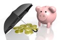 Piggy-bank, money, umbrella - 3D illustration