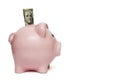 Piggy bank with one hundred dollar bill Royalty Free Stock Photo