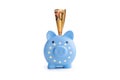 piggy bank with painting of flag European Union isolated, white background. The problem is in the economy. The economic crisis. Royalty Free Stock Photo