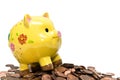 Piggy Bank and Pennies Royalty Free Stock Photo