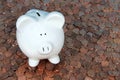 Piggy bank on pennies Royalty Free Stock Photo