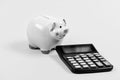 Piggy bank pig and calculator. Taxes and charges may vary. Accounting business. Taxes and fees concept. Tax savings Royalty Free Stock Photo