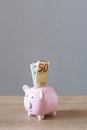 Piggy bank or piggybank filled with euro bills