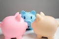 Piggy bank pigs gossip. News and events in the economy. Cashbacks and earnings. Deposits and savings. Hidden opportunities and Royalty Free Stock Photo