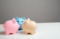 Piggy bank pigs make a plan. Gossip and rumors. Royalty Free Stock Photo