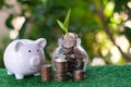 Piggy bank and pile or coins. Plant growing from pile of coins refer to saving and investment concept Royalty Free Stock Photo