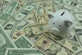 Piggy bank on a pile of ten dollar banknotes, Money background. Royalty Free Stock Photo