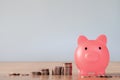 Piggy bank pink colour with money stack step up growing growth saving money, Concept financial business investment. Copy Royalty Free Stock Photo