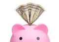 Piggy bank. Pink piggy bank or piggybank and one dollar. Saving concept for save money. Dollar bill. United States of America bank Royalty Free Stock Photo