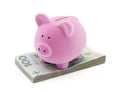 Piggy bank on polish money