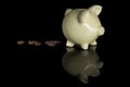 Piggy Bank Poop 1050 Royalty Free Stock Photo