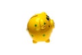 Yellow piggy Bank with money