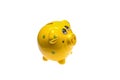 Yellow piggy Bank with money