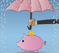 Piggy bank protected from rain. Protection, insurance.