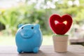 Piggy bank and red heart