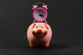 Piggy bank with retro alarm clock. Saving time concept Royalty Free Stock Photo