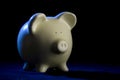 Piggy Bank with Rim-Light Royalty Free Stock Photo