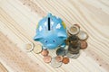 Piggy bank and save money Royalty Free Stock Photo